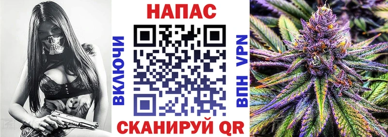купить  цена  Истра  Марихуана ГИДРОПОН 